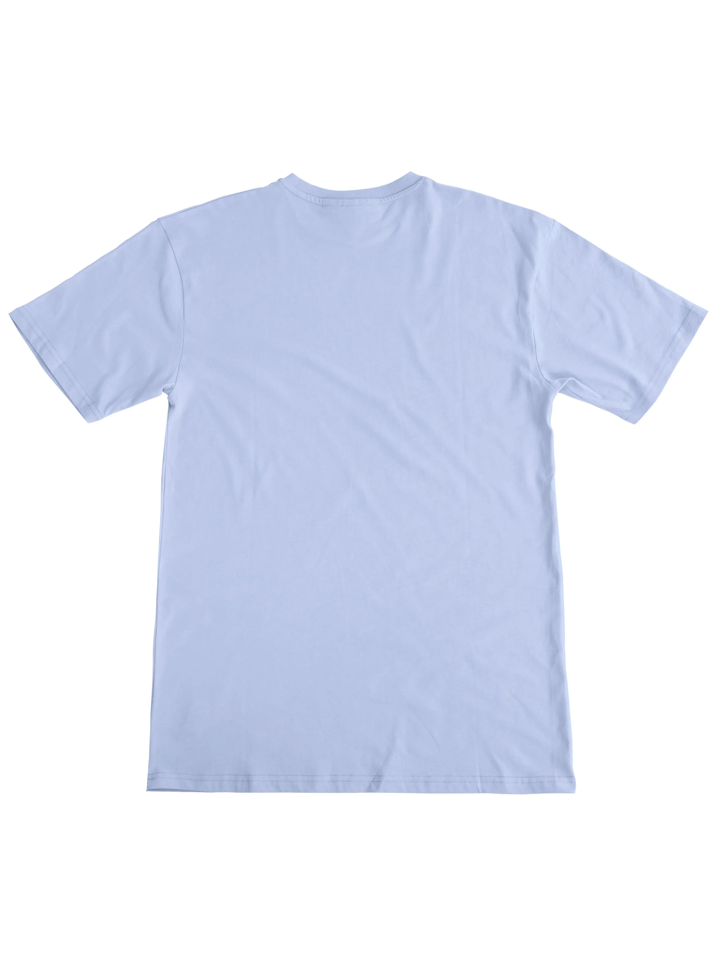 Plant Dyed Organic Oversized Tee in Sky Blue